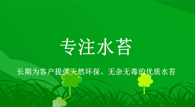 手机端幻灯二