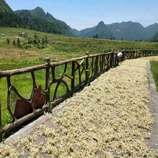 水苔的加工