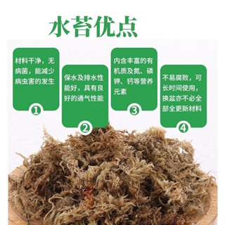 干净无菌