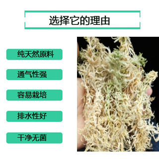 富含需要元素