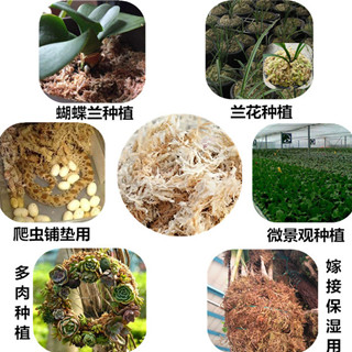嫁接保湿