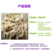 新买的水苔怎么处理？