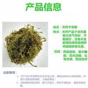 如何铺好水苔？