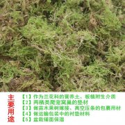  适应水苔生长的地区