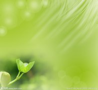 水苔的成分